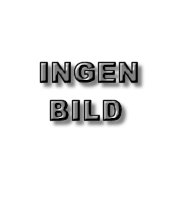 ingen